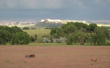 Pine Ridge Bluffs